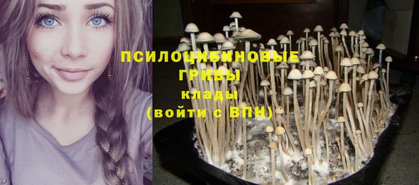 кокс Алзамай