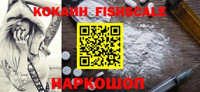 ешки Кингисепп