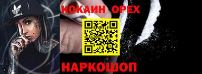 ешки Кингисепп