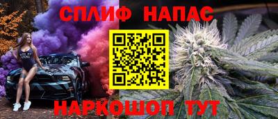 ешки Кингисепп