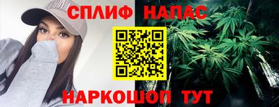 ешки Кингисепп