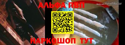 ешки Кингисепп