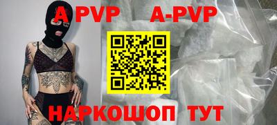 ешки Кингисепп