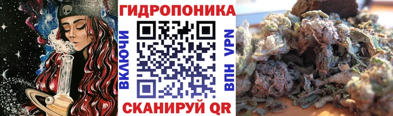 Бошки марихуана ГИДРОПОН сколько стоит блэк спрут зеркало Удомля